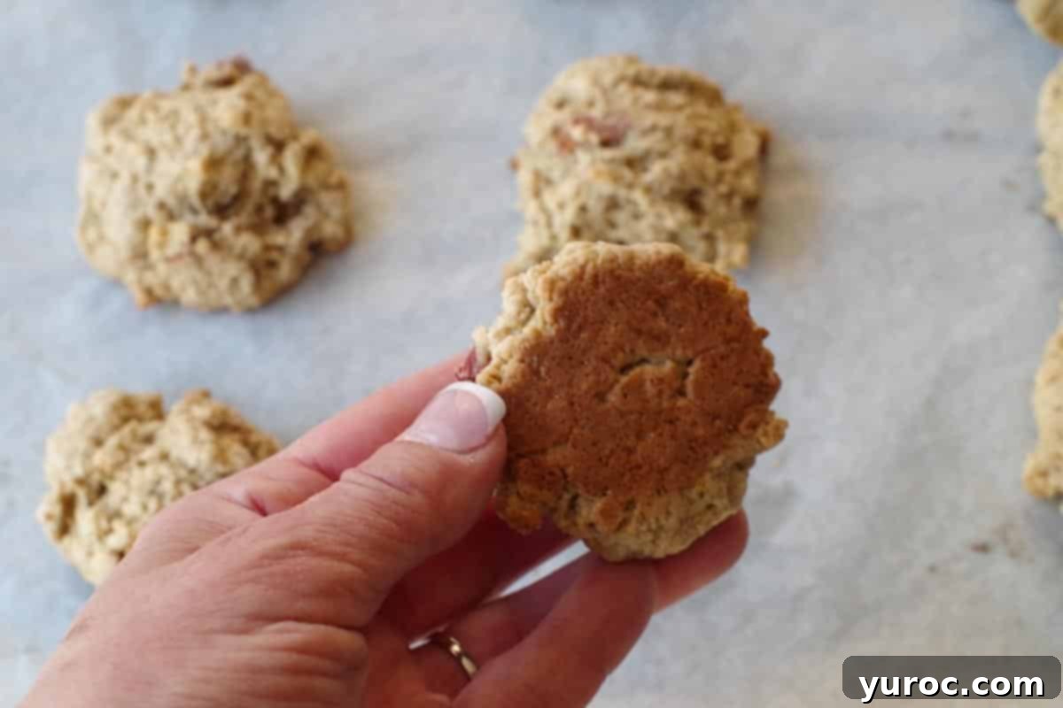 Sweet & Tart Rhubarb Oat Cookies 14 A hand gently holds up a single, freshly baked rhubarb oatmeal cookie, revealing its lightly browned, slightly crispy bottom surface.