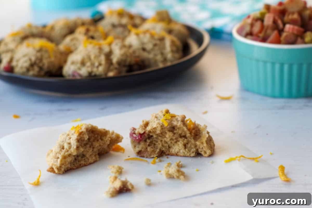 Sweet & Tart Rhubarb Oat Cookies 17 A rhubarb oatmeal cookie broken in half, showcasing its texture and pink rhubarb pieces, laid on parchment paper with more cookies and fresh rhubarb stalks in the background.