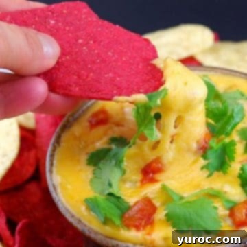 What to Serve with Carnitas: 25 Irresistible Recipes 7 A red tortilla chip being dipped into a bowl of creamy queso dip.