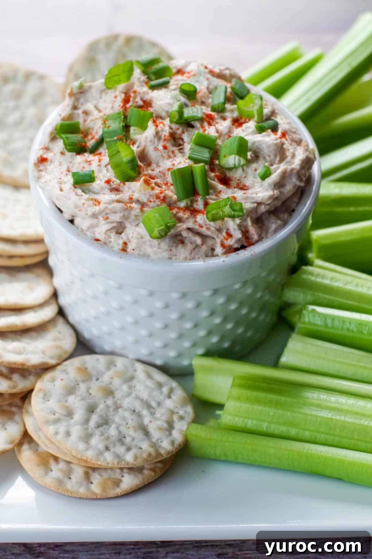 Creamy Tuna Dip 2 Tuna dip served in a white bowl with crackers and celery sticks on a rustic tray, ready for serving.