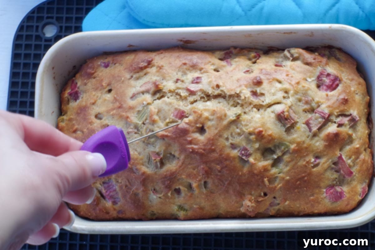 cake tester being inserted into healthy rhubarb bread