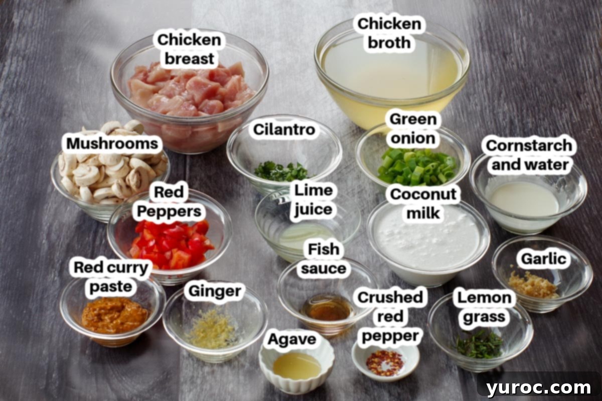 Creamy Thai Coconut Chicken Simmer 2 Various ingredients for slow cooker Thai chicken soup laid out in glass bowls, neatly labelled for clarity