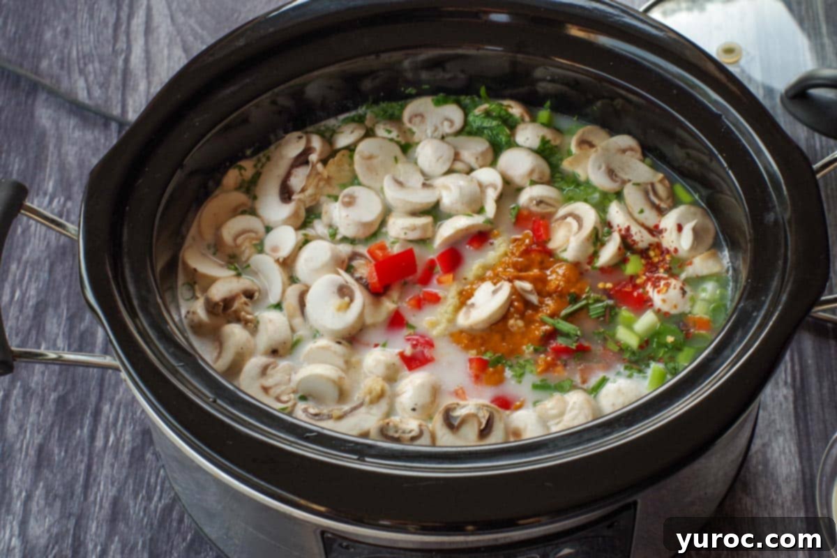 Creamy Thai Coconut Chicken Simmer 3 All raw ingredients, including chicken, red pepper, broth, and spices, placed directly into a slow cooker