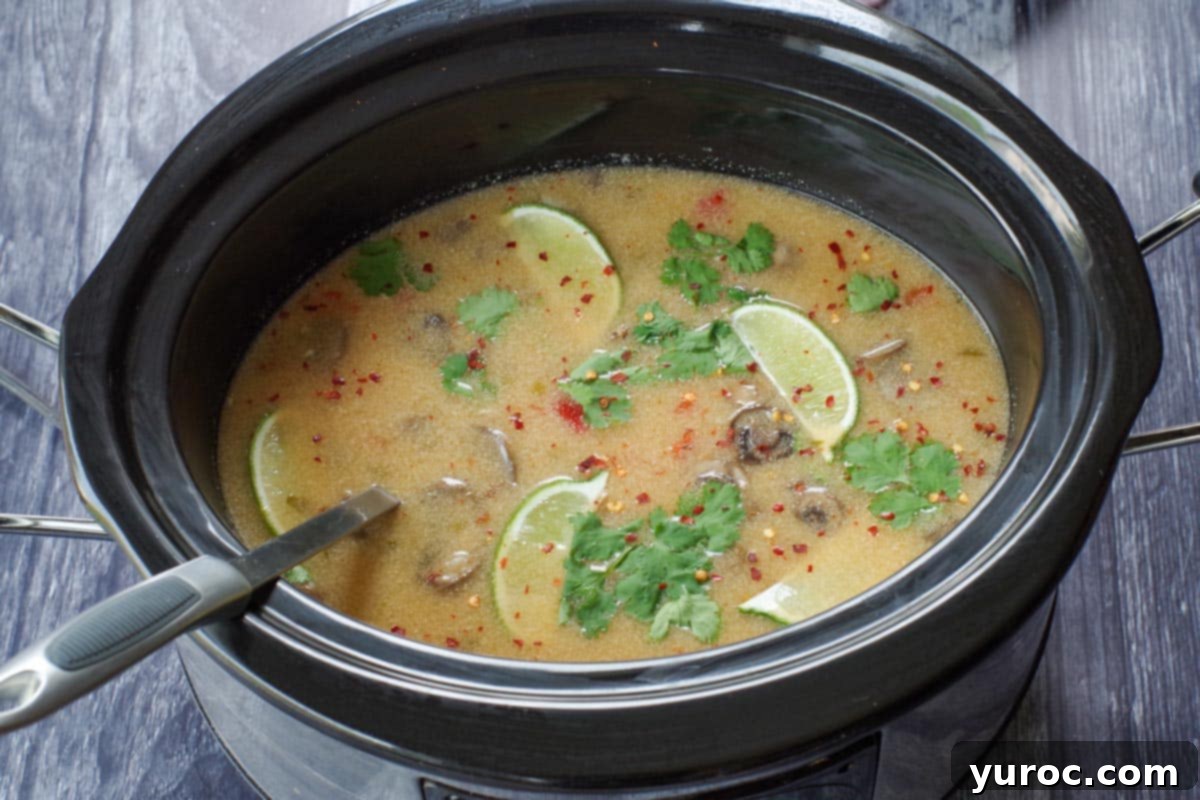 Creamy Thai Coconut Chicken Simmer 5 Slow cooker Thai chicken soup, thick and creamy, ready to be served with a ladle in the pot