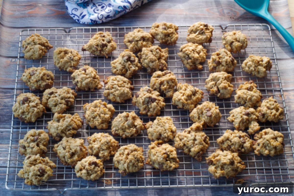 Grab-and-Go Cereal Cookies for School 11 baked cookies on wire rack