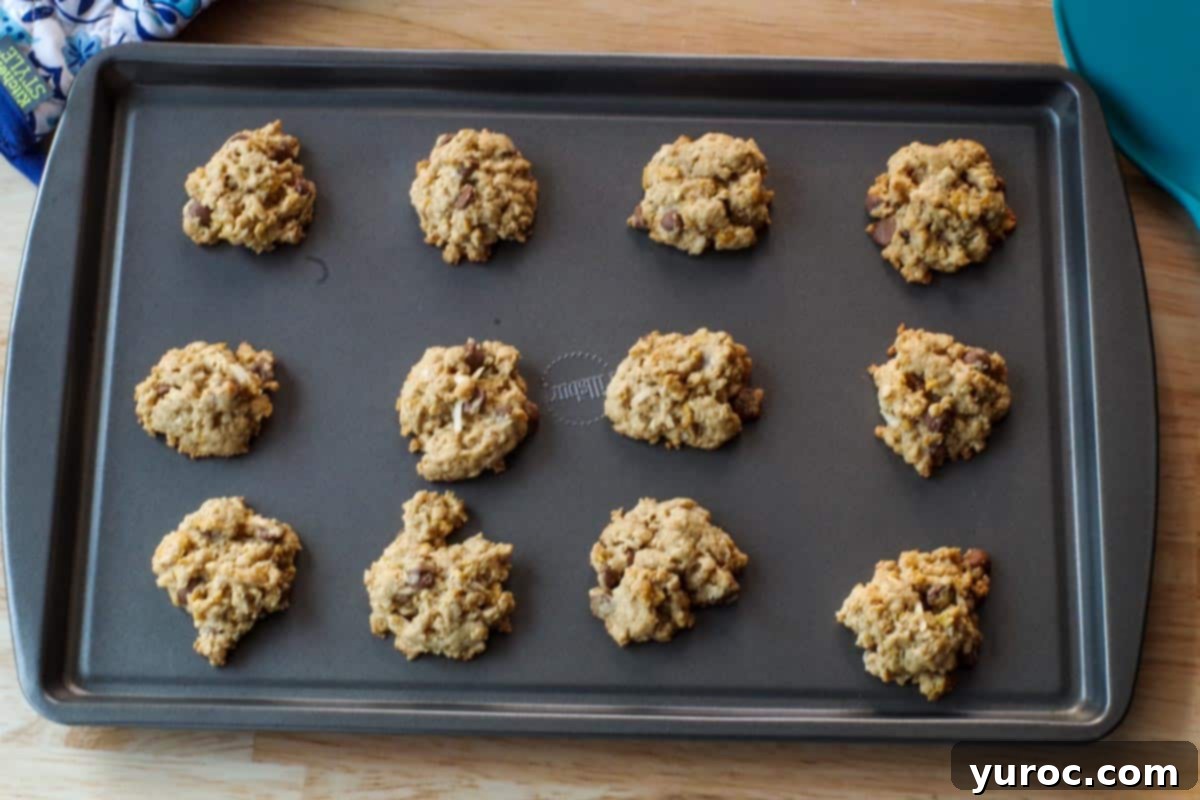 Grab-and-Go Cereal Cookies for School 10 baked cookies on baking sheet