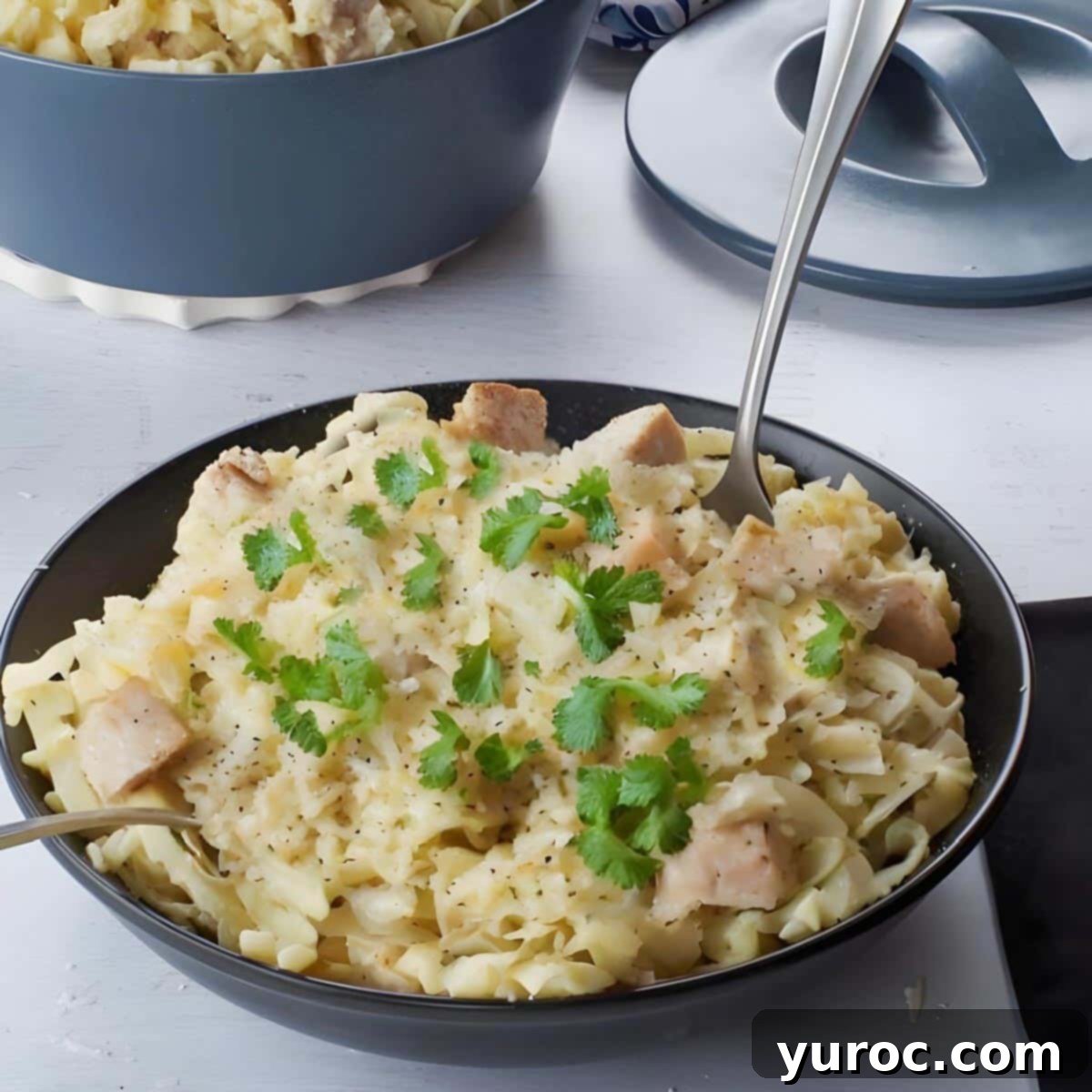 Silky Light Chicken Fettuccine 2 Chicken fettuccine in a black bowl with a spoon and fork with a blue pot of more in the background