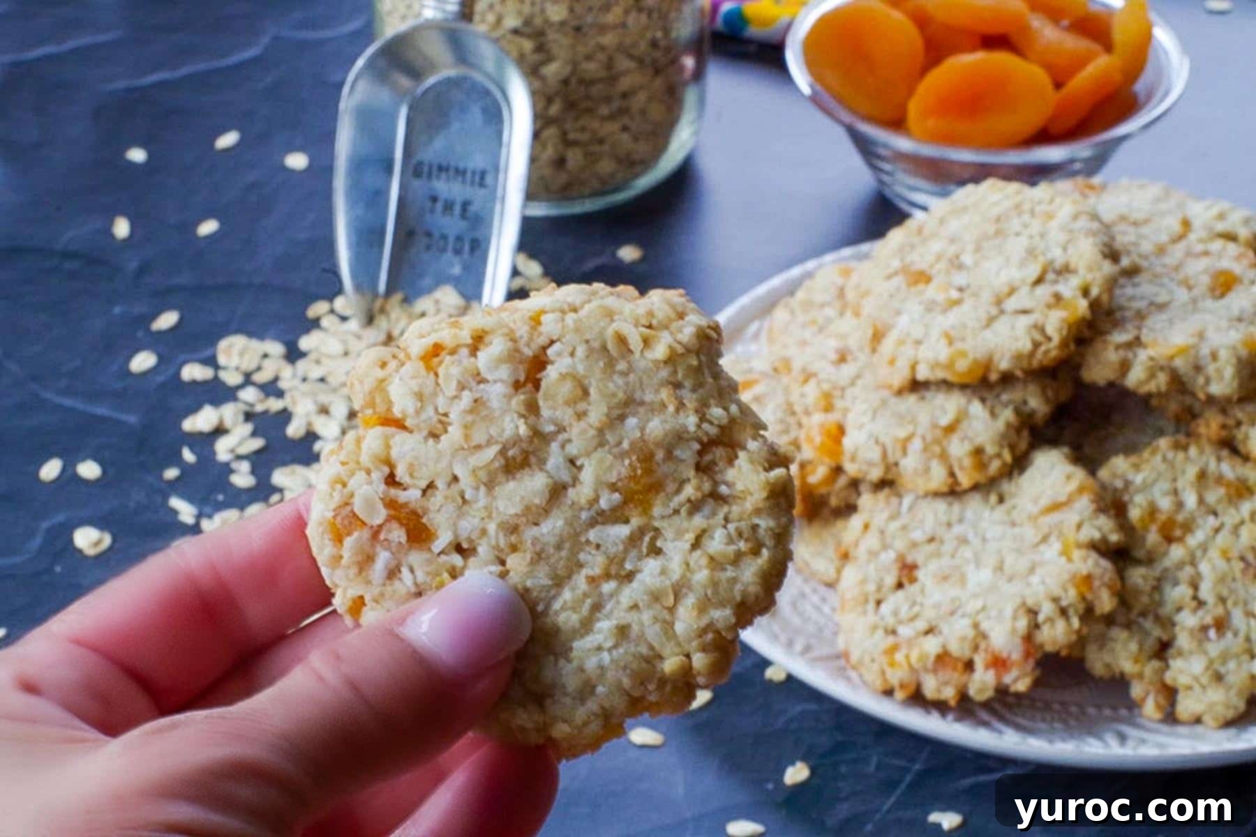 Hand holding one Oatmeal Apricot cookie in front of a plate of more Apricot Oatmeal cookies, highlighting their chewy texture and golden-brown edges