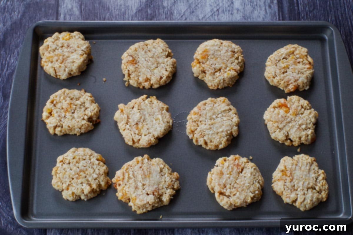 A baking sheet filled with freshly baked and golden-brown Oatmeal Apricot Cookies, just out of the oven