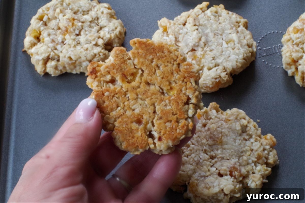 The lightly browned bottom of an Oatmeal Apricot cookie, held up for inspection over a baking sheet, indicating perfect doneness