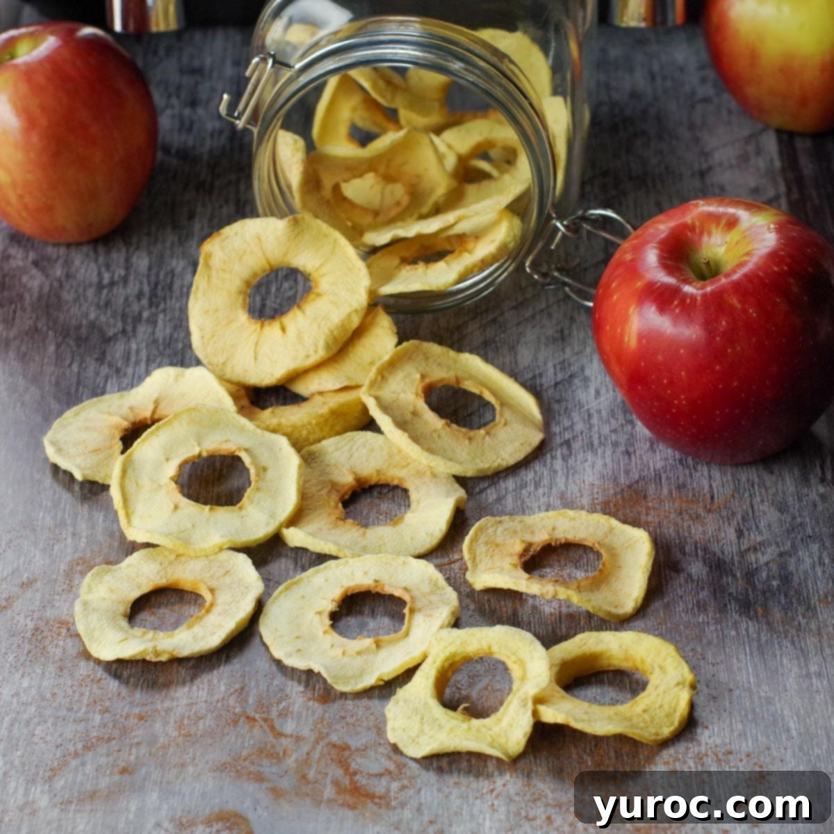 air fryer dehydrated apples spilled out of a jar of more dehydrated apples