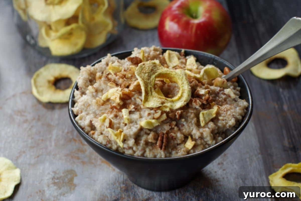 dehydrated air fryer apple pieces and garnish on top of a bowl of porridge