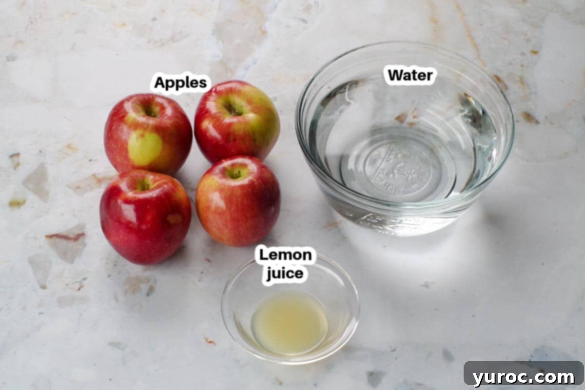 ingredients in air fryer dehydrated apples in glass bowls, on counter top