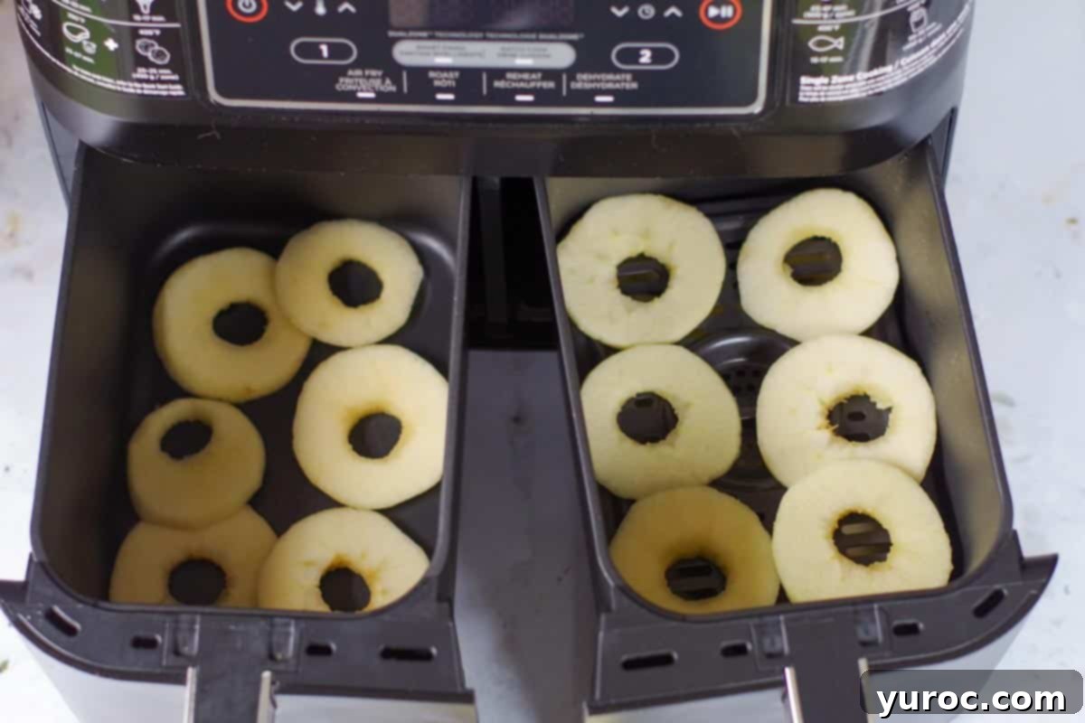 apple slices in air fryer drawers in single layer