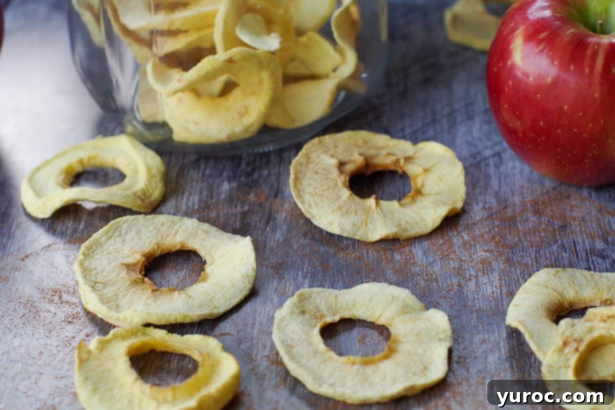 air fryer dehydrated apple rings in front of a jar of more dehydrated apples