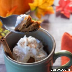 Velvet Pumpkin Mug Bake 10 Crustless Pumpkin Pie in a Mug topped with whipped cream and cinnamon stick.