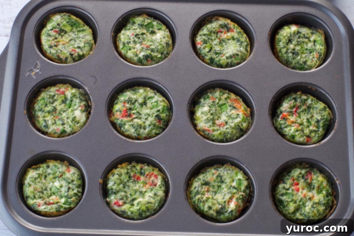 Vibrant Roasted Red Pepper Egg White Bites 8 Baked egg whites in muffin tin
