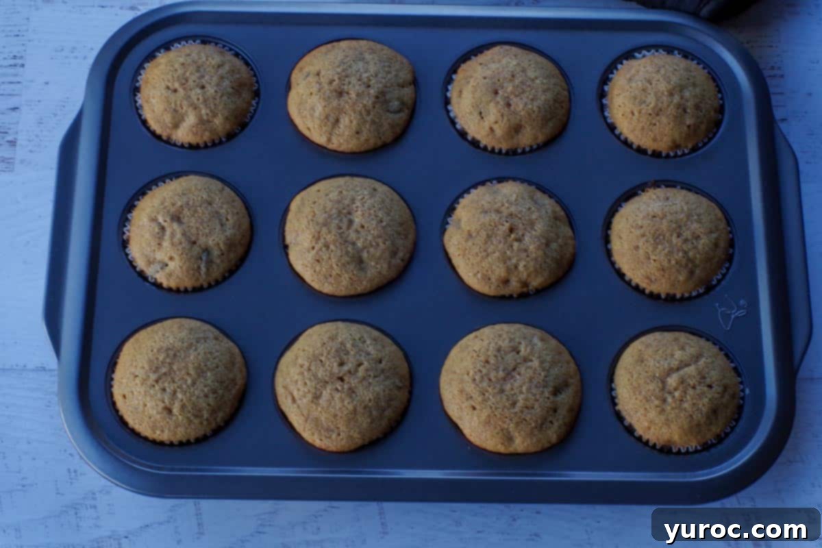 Baked muffins in a muffin tin, cooling slightly