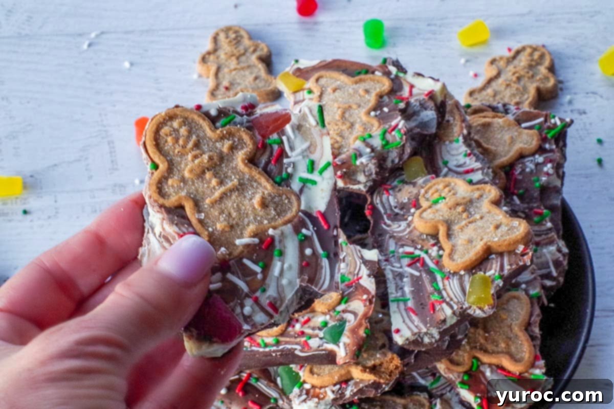 hand holding up a piece of Christmas Chocolate bark