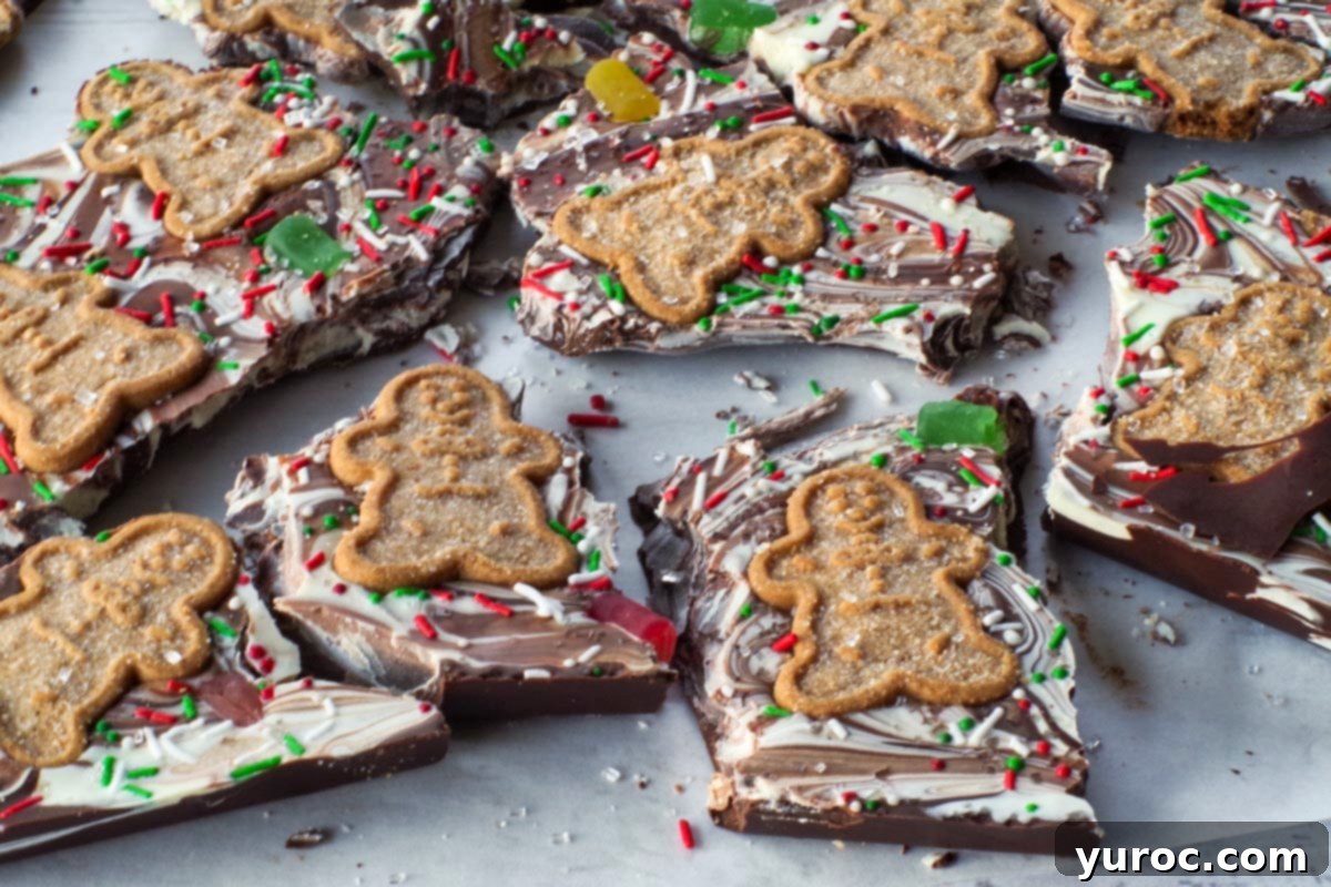 pieces of Christmas Chocolate bark