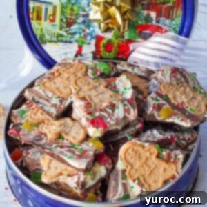 chocolate gingerbread bark in a festive container
