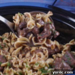 light beef stroganoff being ladled out of slow cooker