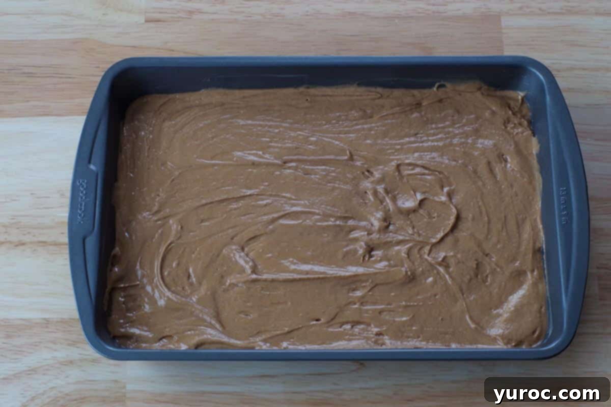 Chocolate Guinness cake batter poured evenly into a prepared 9x13 inch baking pan.