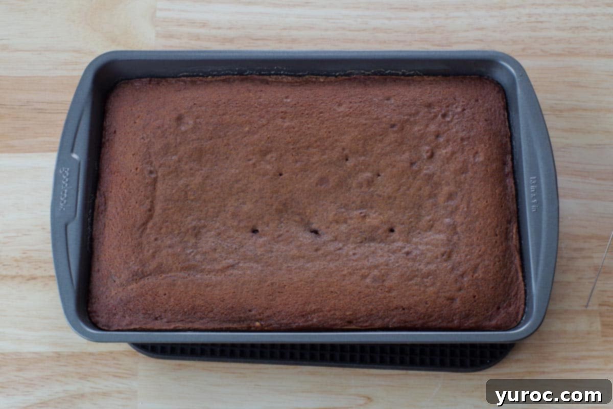 A freshly baked chocolate Guinness cake cooling in its 9x13 inch pan.