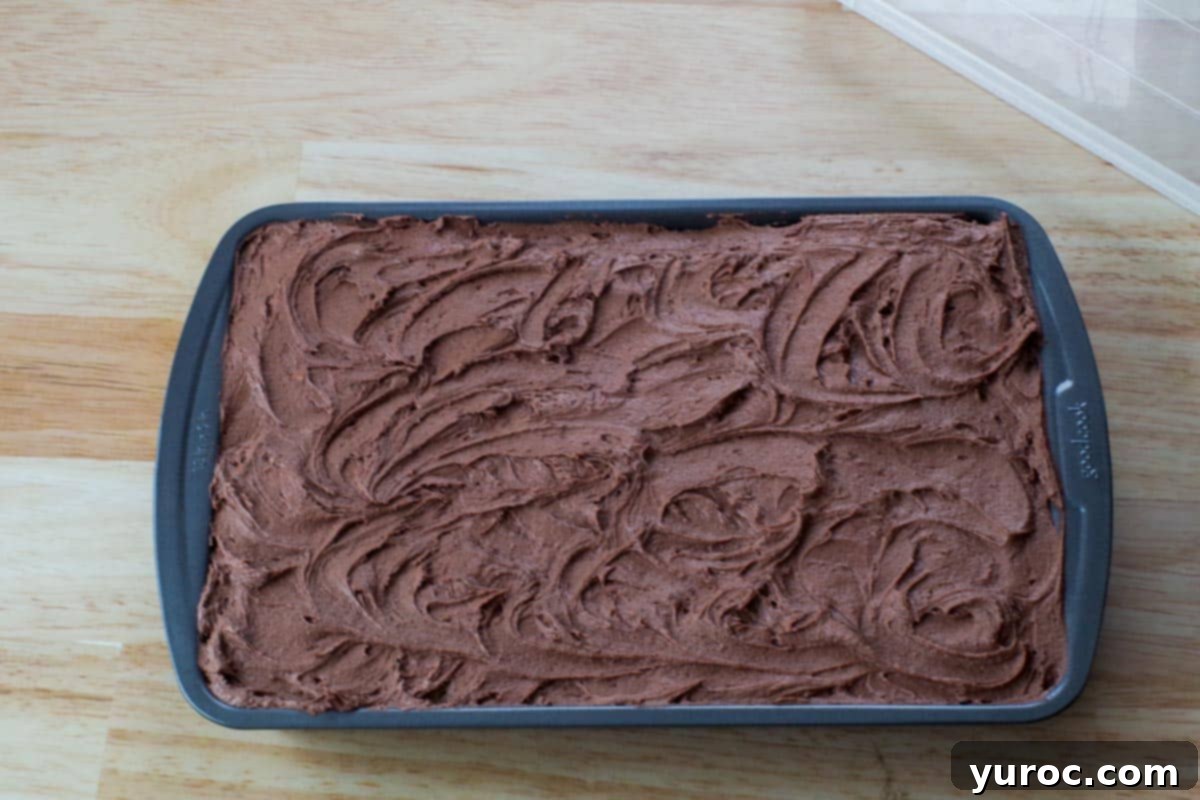 The chocolate Guinness cake frosted directly in the pan with creamy Irish cream frosting, adorned with swirls.