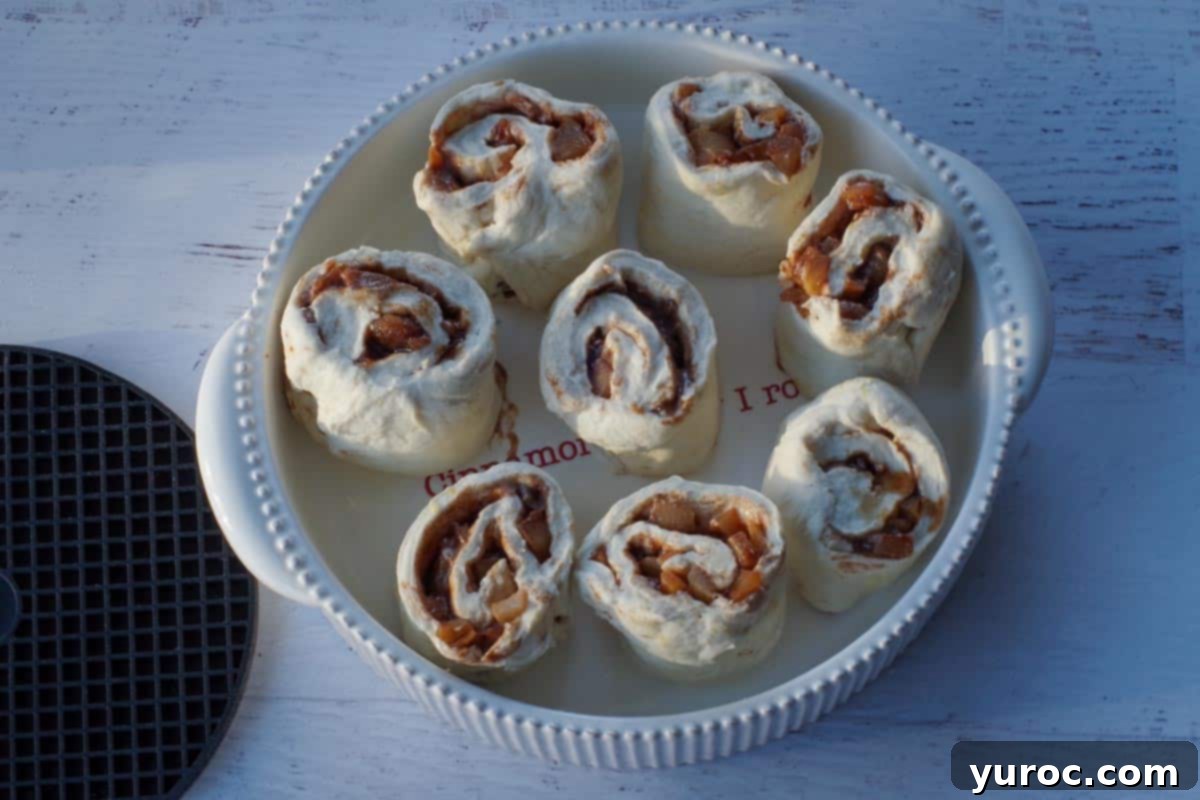 Freshly cut cinnamon rolls arranged neatly in a baking dish, spaced evenly apart to allow for proper baking.