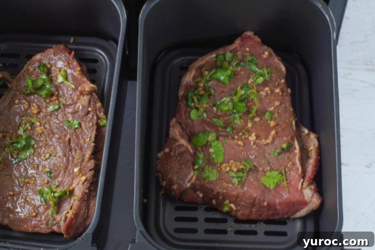 steak in air fryer drawers