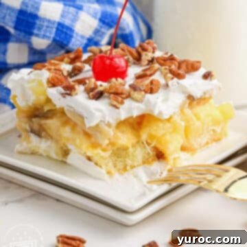 A delectable slice of No Bake Twinkie Cake resting on a white plate, with a blue and white checkered linen providing a charming backdrop.