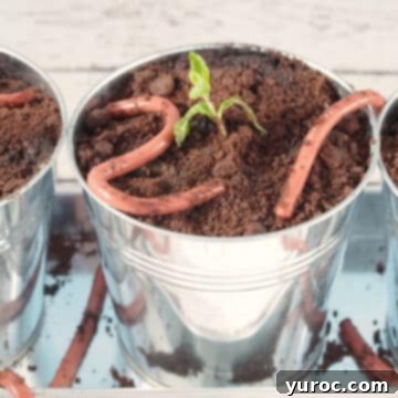 Jello worms and dirt dessert in a silver planter, making for a truly realistic Earth Day treat.