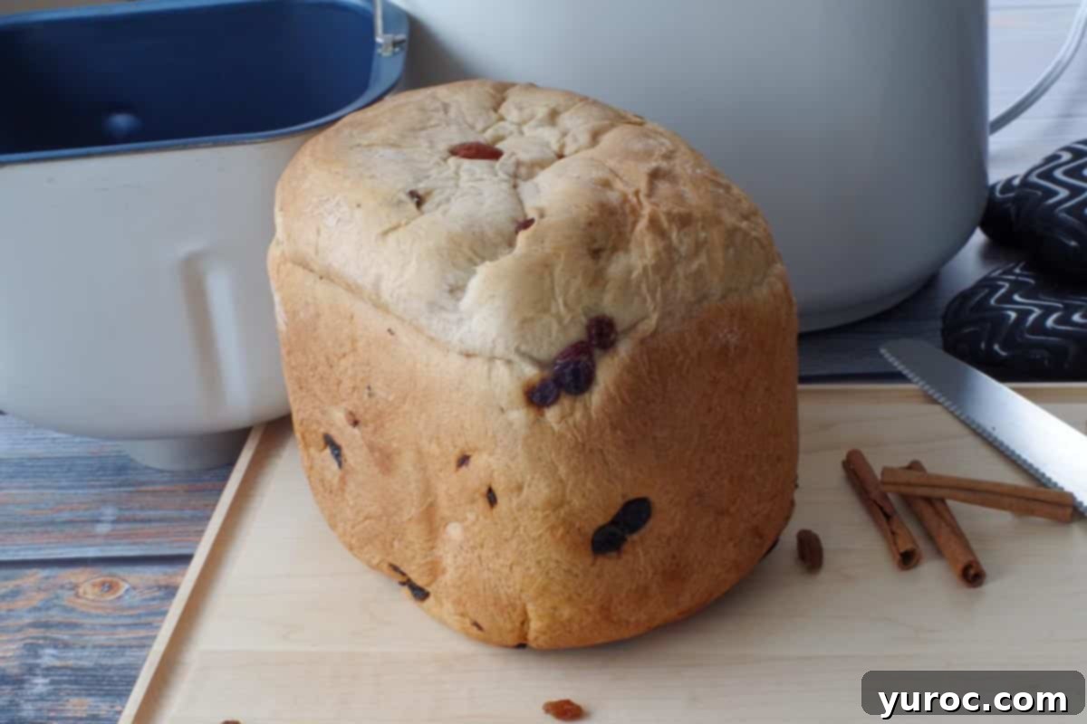 whole loaf of bread machine cinnamon raisin bread on a cutting board, in front of a bread machine