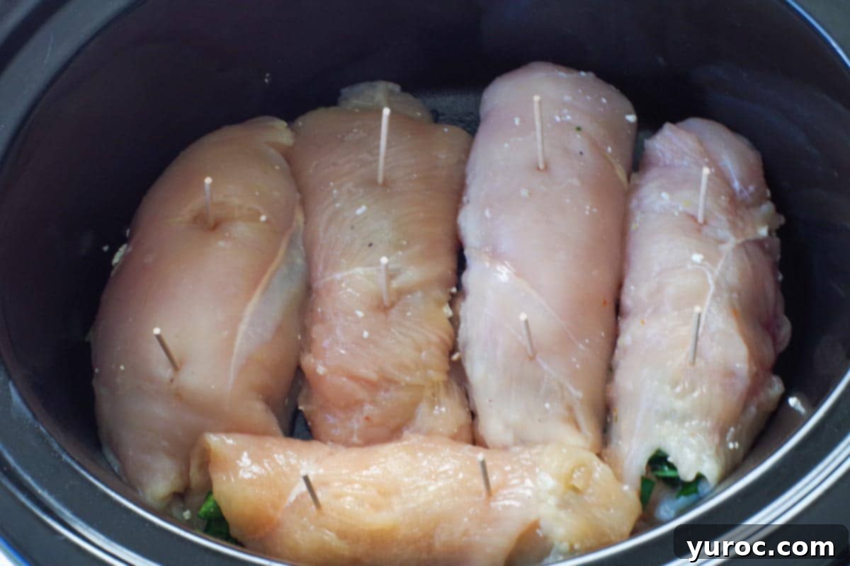 rolled chicken breasts seam-side down in slow cooker
