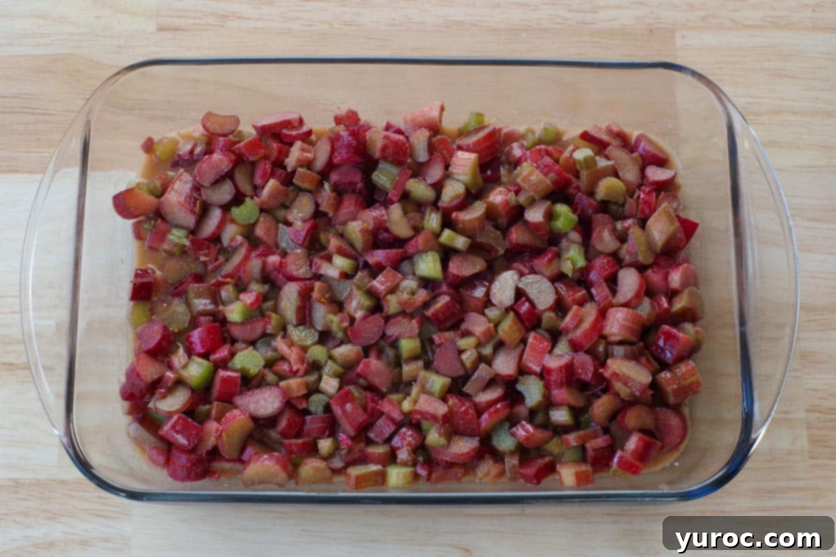 The vibrant rhubarb filling evenly spread out in a 9x13 inch glass baking dish, ready for the next layer.