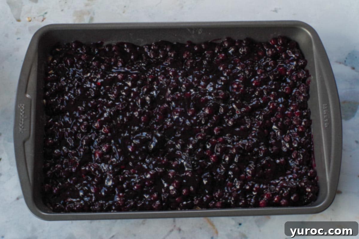Saskatoon Berry Bliss Bars 11 Saskatoon berry filling spread over base in 9x13 pan