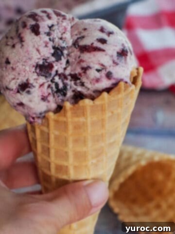 hand holding Saskatoon Berry ice cream in a waffle cone