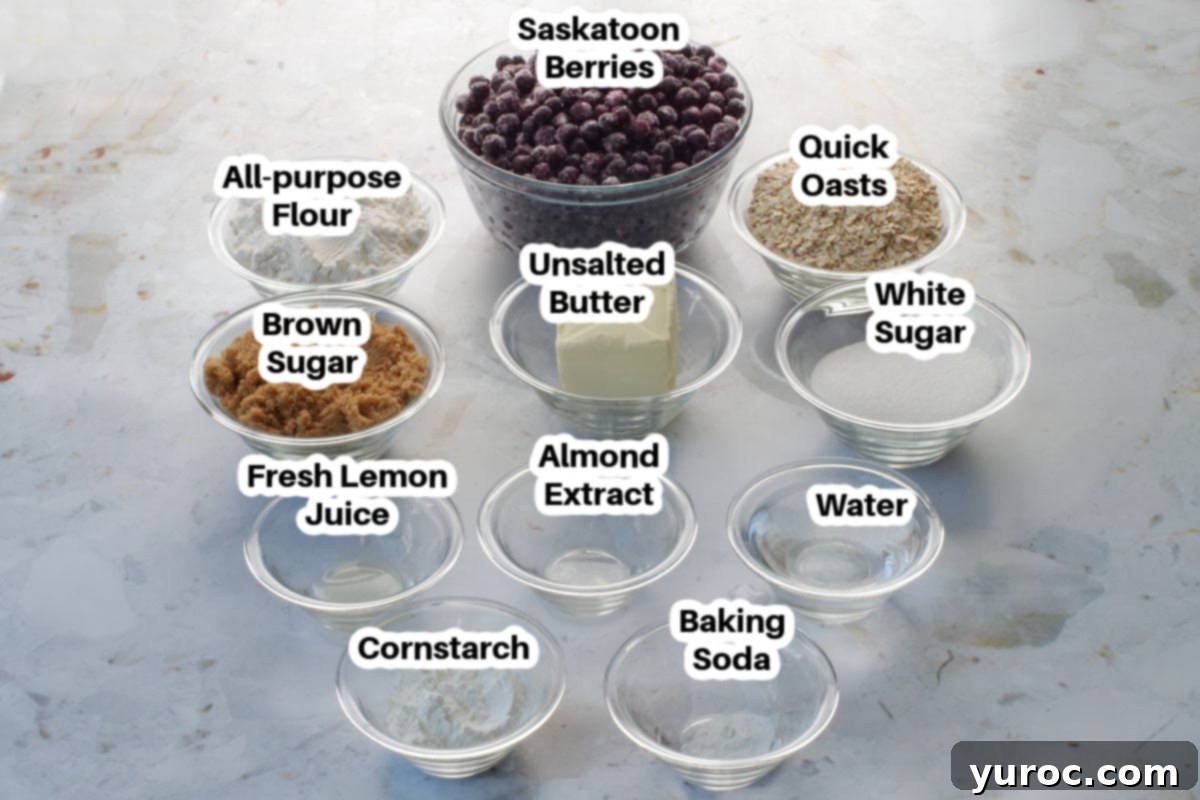 Saskatoon Berry Bliss Bars 3 Saskatoon Berry Square ingredients in glass bowls, labelled