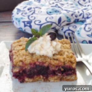 Saskatoon Berry Bliss Bars 21 img 187471 20