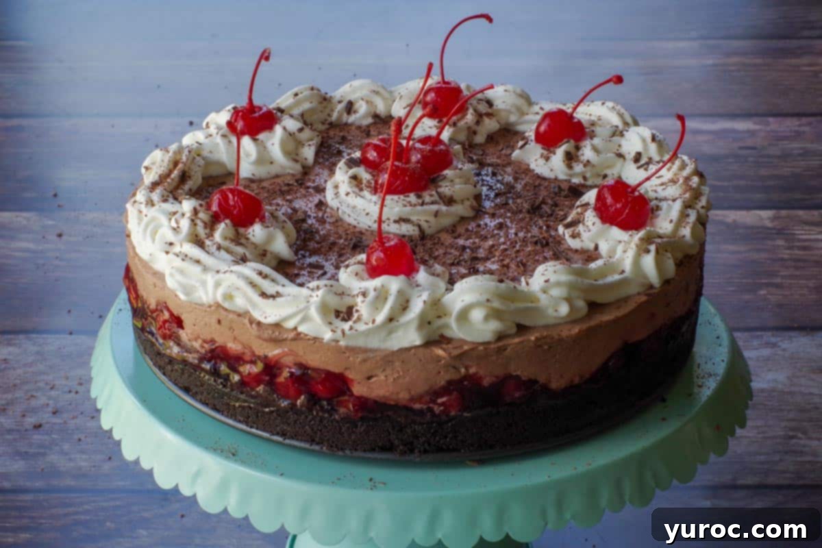 No Bake Black Forest Cheesecake on a turquoise cake stand, showcasing its layers of dark chocolate, bright cherry, and white cream.