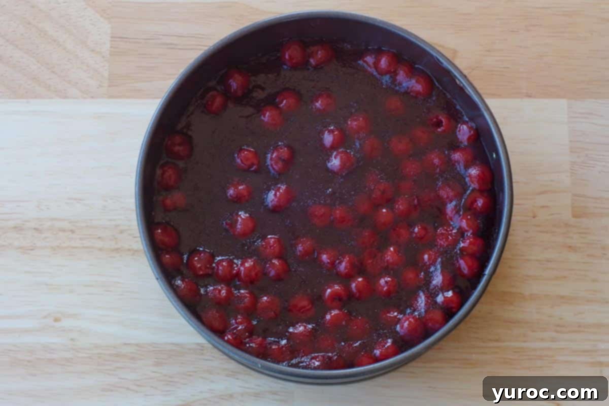 The cherry pie filling layer, now firm and set, awaiting the addition of the chocolate cheesecake mixture in the springform pan.