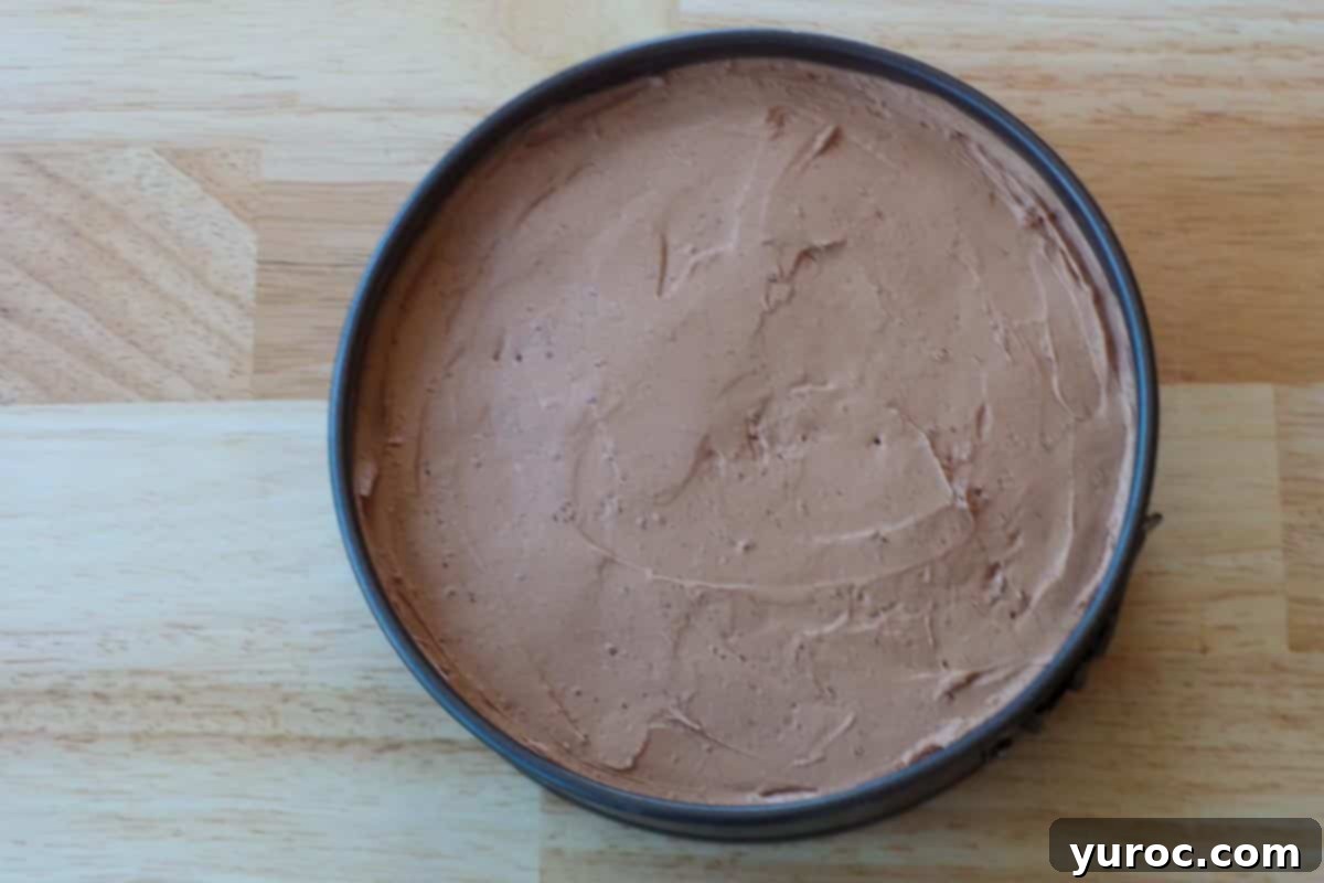 The rich chocolate cream cheese mixture spread evenly on top of the set cherry pie filling in a springform pan.