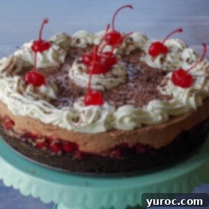 Whole No Bake Black Forest Cheesecake on a turquoise cake stand, garnished with whipped cream and cherries.