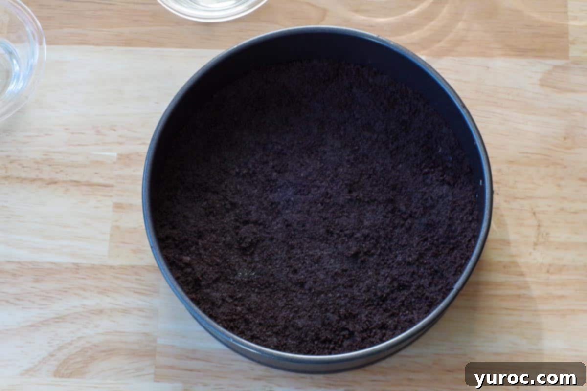 The Oreo crumb mixture firmly pressed into the bottom of a 9-inch springform pan, creating an even crust.