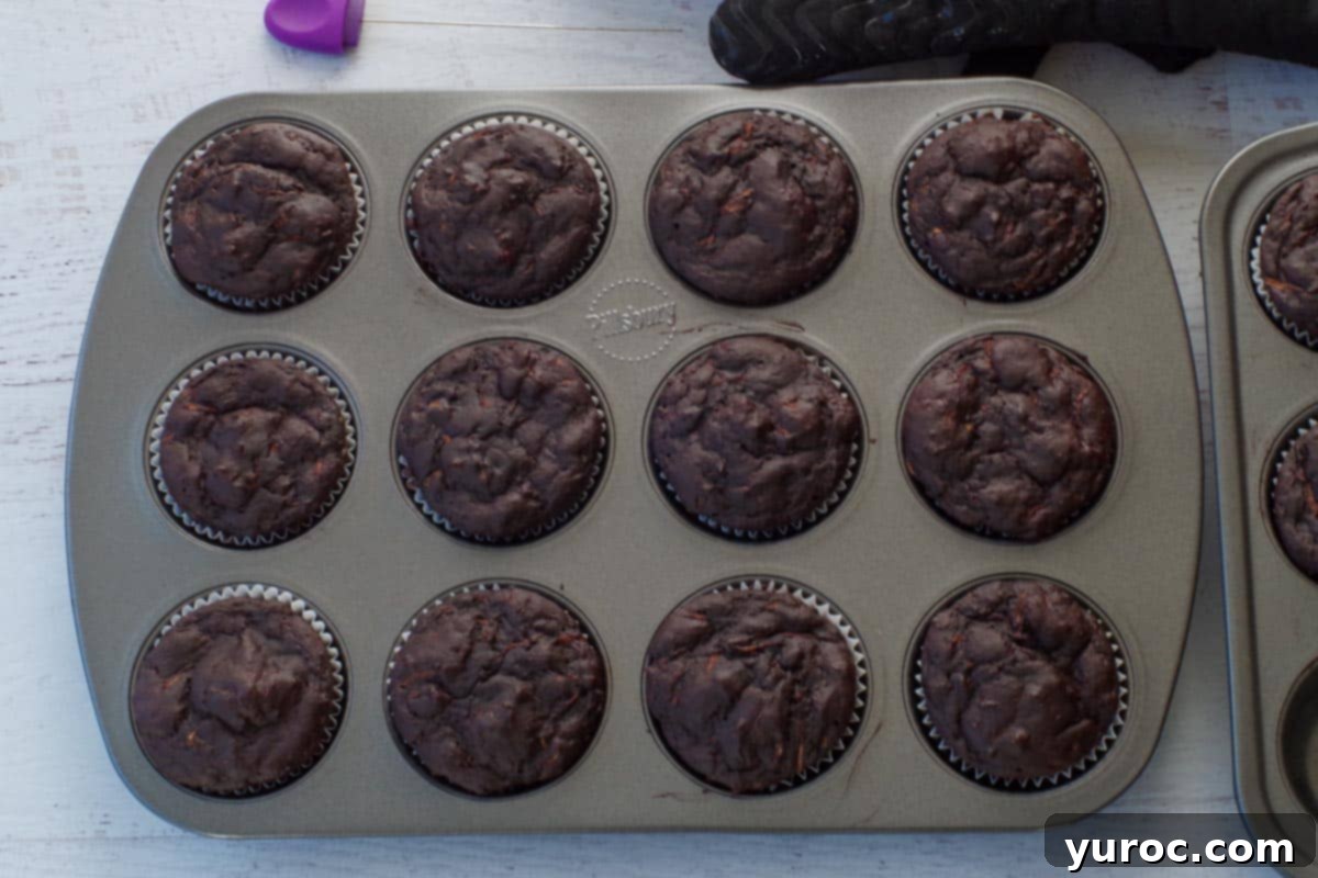 Weight Watchers chocolate zucchini muffins freshly baked in the muffin pan