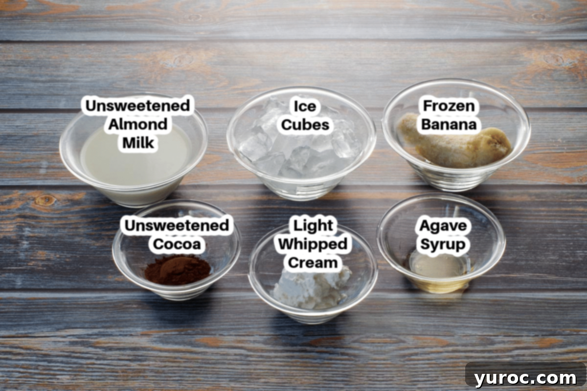 Skinny Chocolate Dream Frosty 3 Ingredients for a WW chocolate frosty laid out in bowls, clearly labelled for easy identification.
