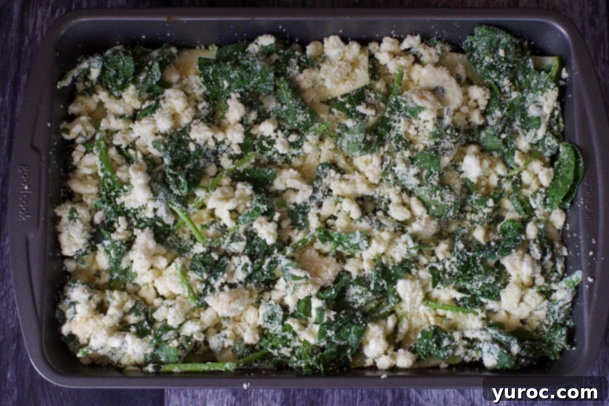 spinach and cheese mixture spread over first layer of zucchini "noodles" (slices)