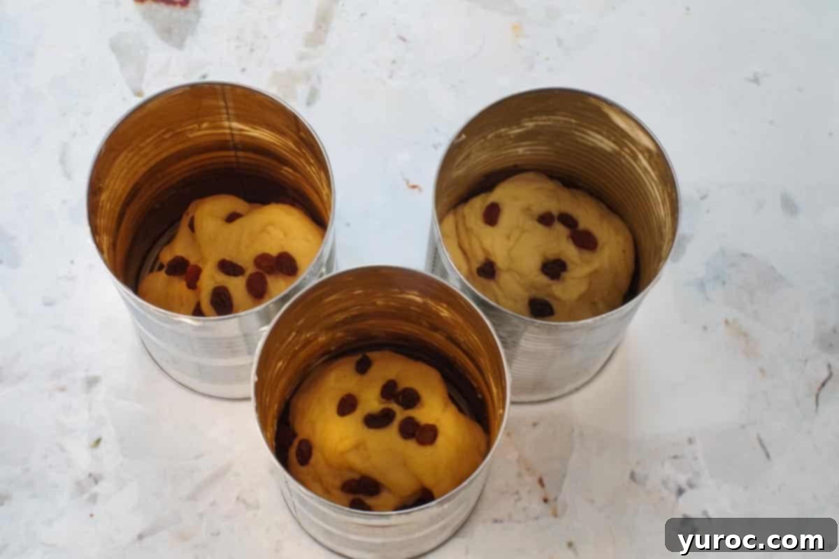 Bread Machine Ukrainian Easter Babka 11 Dough divided in 3 and placed in greased tins.