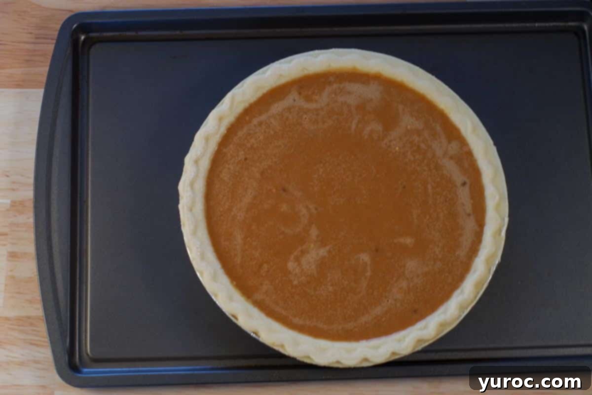 Prize-Winning Canned Pumpkin Pie 7 An unbaked pie shell, perfectly filled to the brim with the rich pumpkin pie filling, resting on a sturdy baking sheet, ready for the oven.